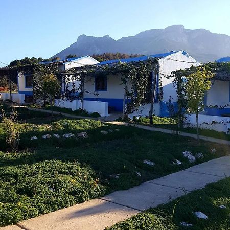 Ferma Jebala Ecolodge Kitane エクステリア 写真