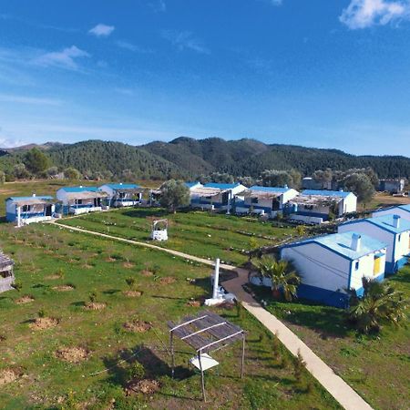Ferma Jebala Ecolodge Kitane エクステリア 写真