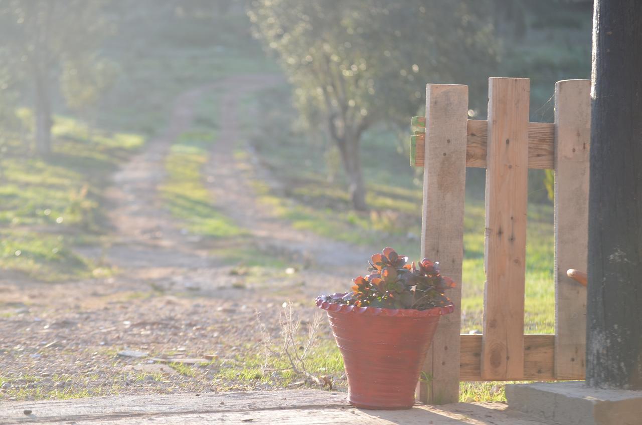 Ferma Jebala Ecolodge Kitane エクステリア 写真