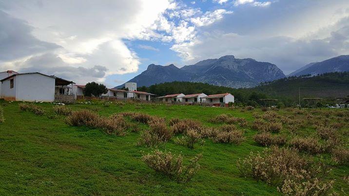 Ferma Jebala Ecolodge Kitane エクステリア 写真