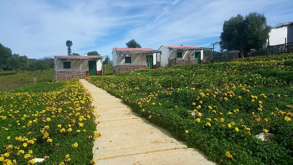 Ferma Jebala Ecolodge Kitane エクステリア 写真