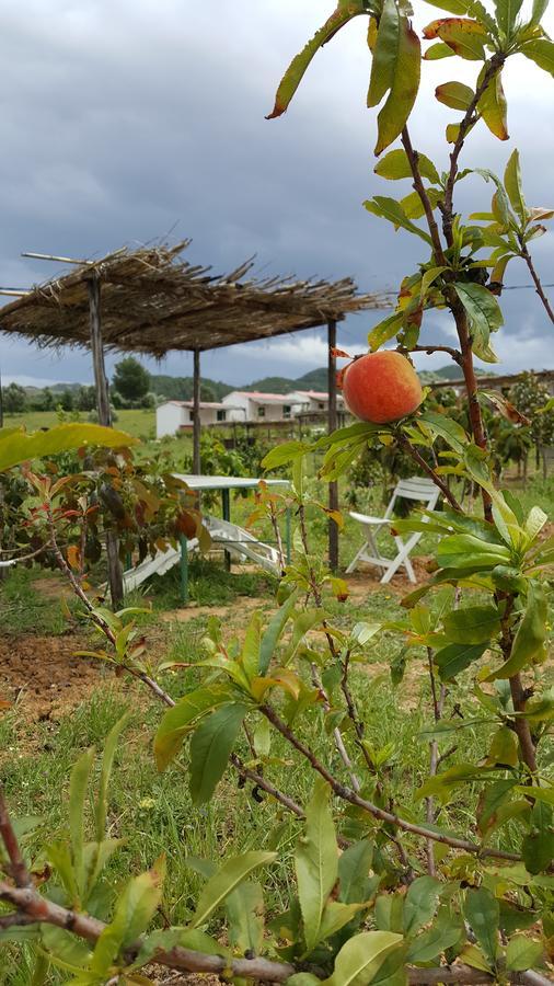 Ferma Jebala Ecolodge Kitane エクステリア 写真