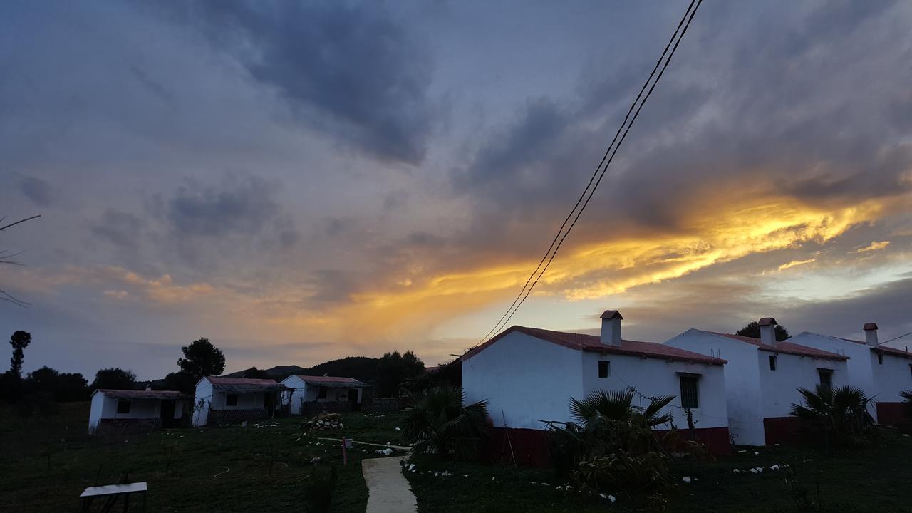 Ferma Jebala Ecolodge Kitane 部屋 写真