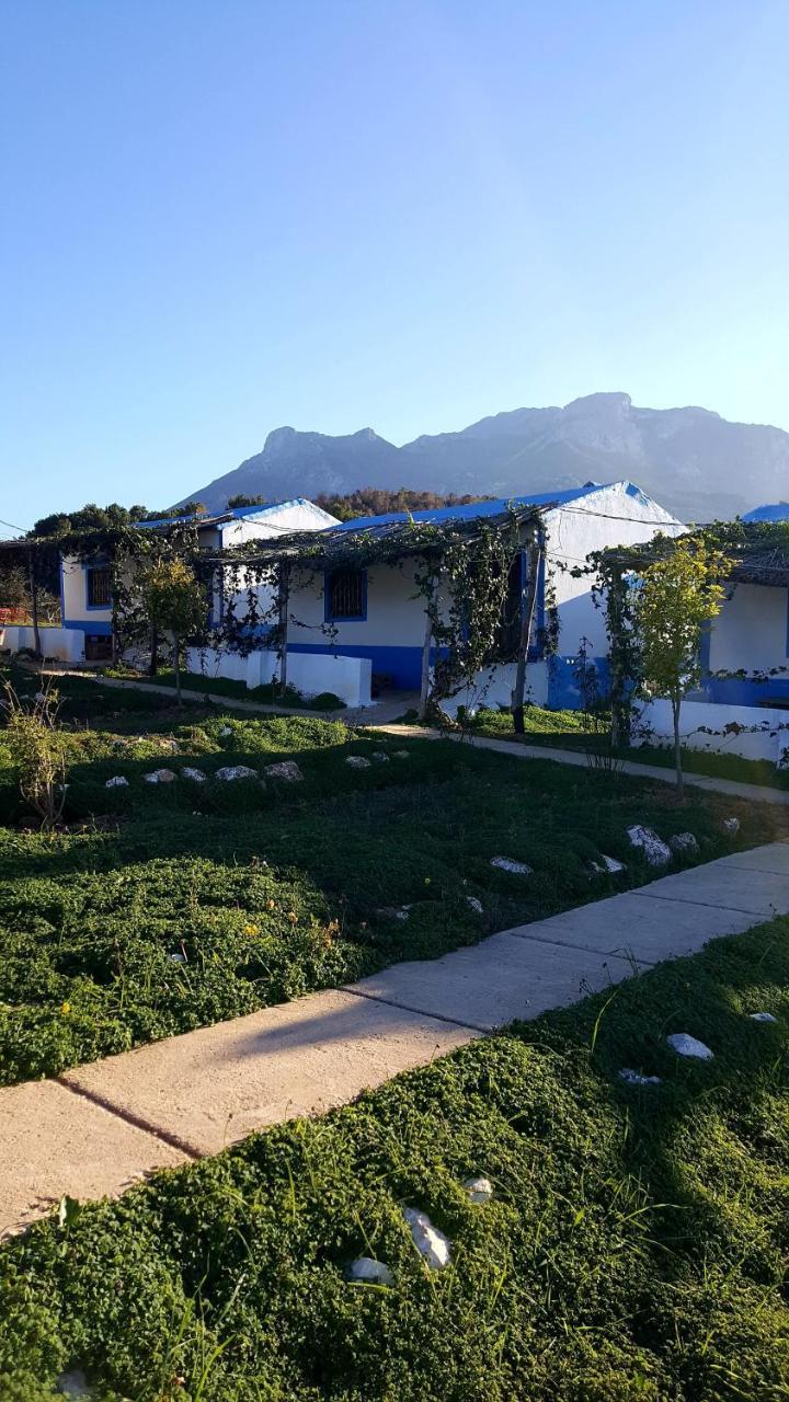 Ferma Jebala Ecolodge Kitane エクステリア 写真