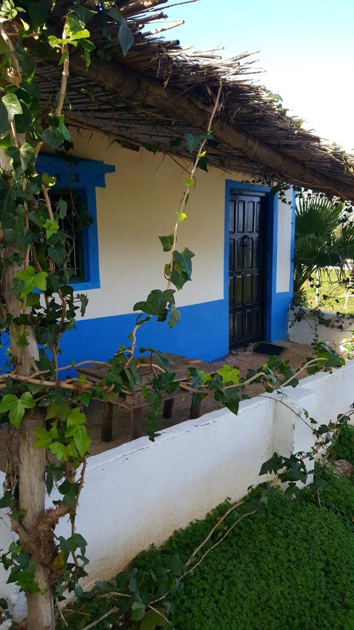 Ferma Jebala Ecolodge Kitane エクステリア 写真